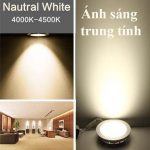 den am tran as trung tinh [4200K] Đèn âm trần Led, , Tròn, Ø150x, Khoét lỗ 130mm, AS Trung tính, 9w, MPE, #RPL-9N