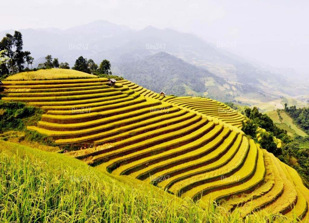 Lai Châu: Đèn Tường Cổ Điển Mộc Mạc